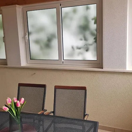 Dream * ميميتسا