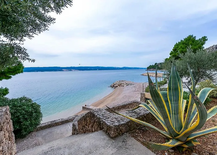 Dream Apartamento Mimice